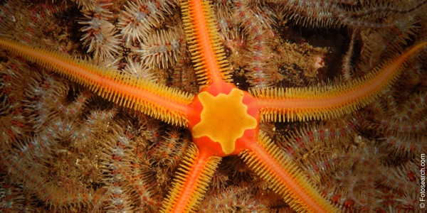 [Picha katika ukurasa wa 16]