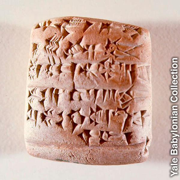 Mapatano ya zamani ya kuuza kondoo na mbuzi