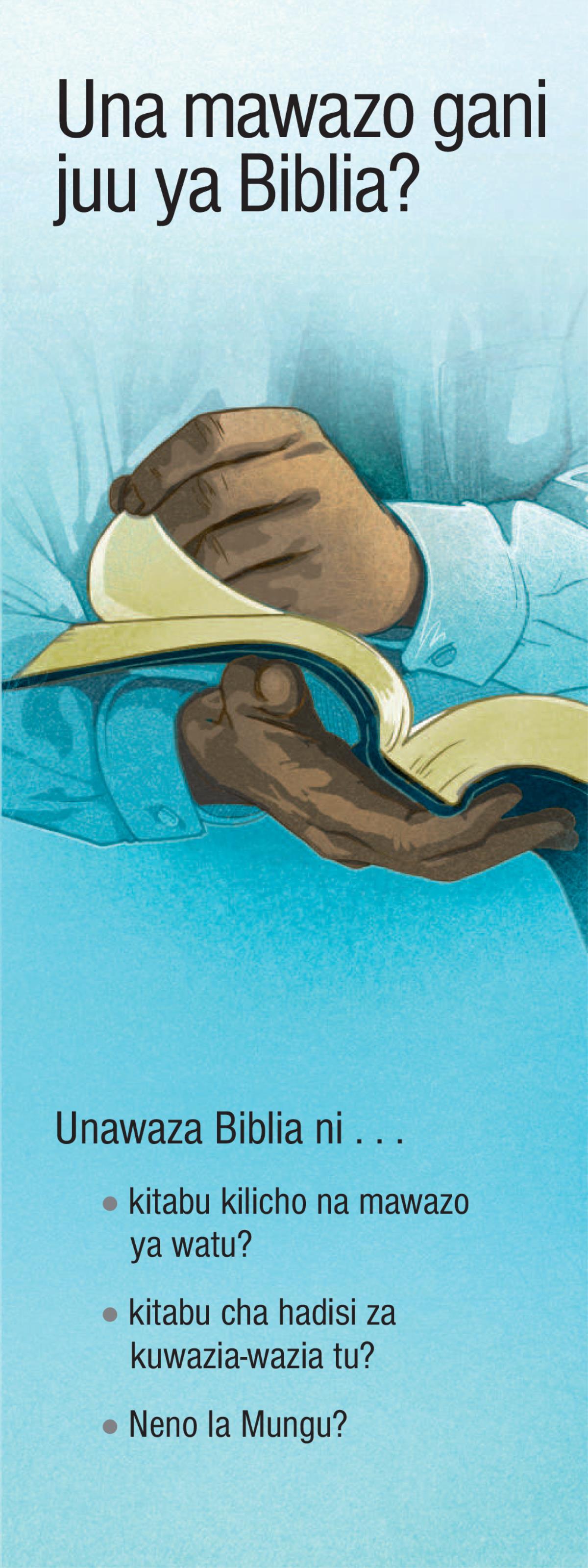 Una Mawazo Gani Juu ya Biblia?