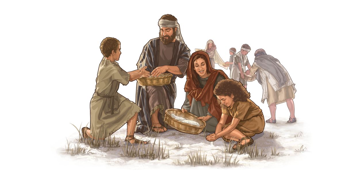 Familia moya ya Waisraeli na wengine wako naokota mana mu jangwa.