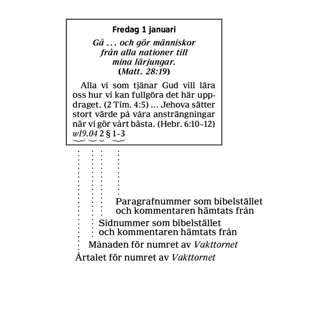 [Bild]