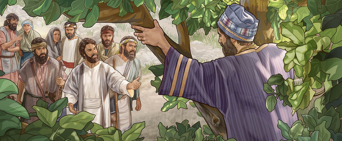 Jesus ber Sackeus komma ner från ett träd, och några som ser på ser förvånade ut.