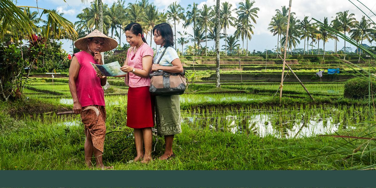 Bi̱ nutaraʼa numuu Jeobá bi̱ kuwa náa Indonesia nuxna folleto Atadxawíín Diúu̱