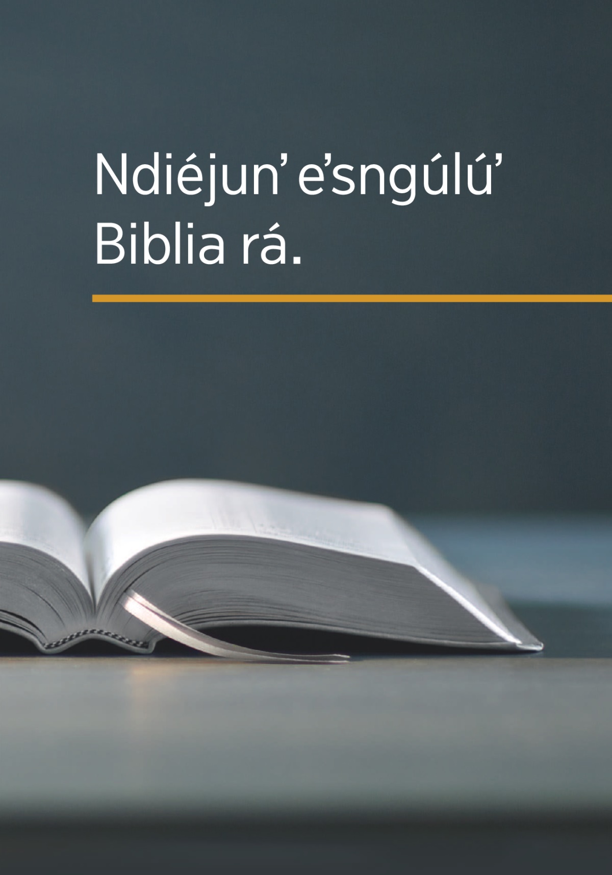Libro Ndiéjunʼ eʼsngúlú Biblia rá.