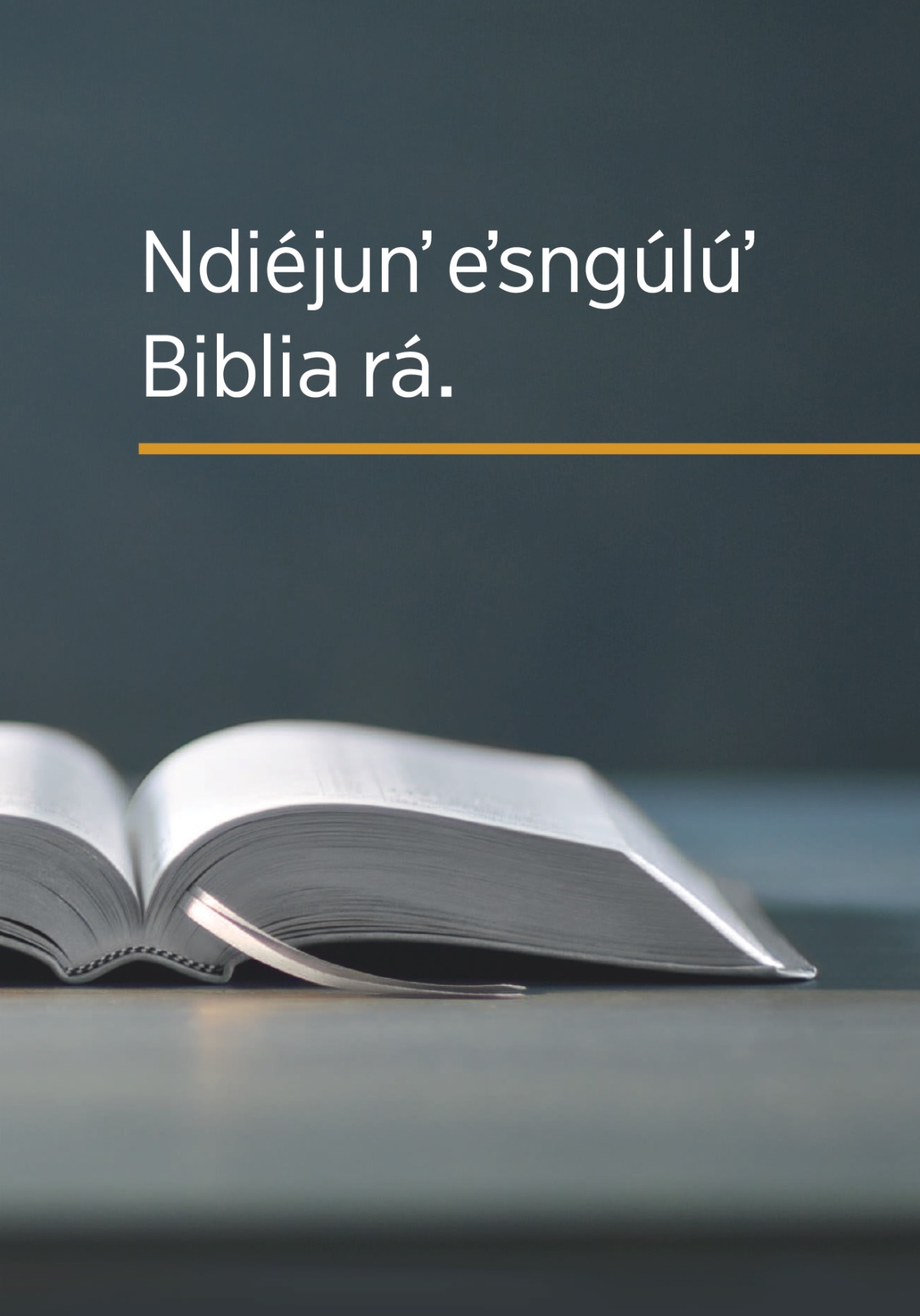 Libro Ndiéjunʼ eʼsngúlúʼ Biblia rá.