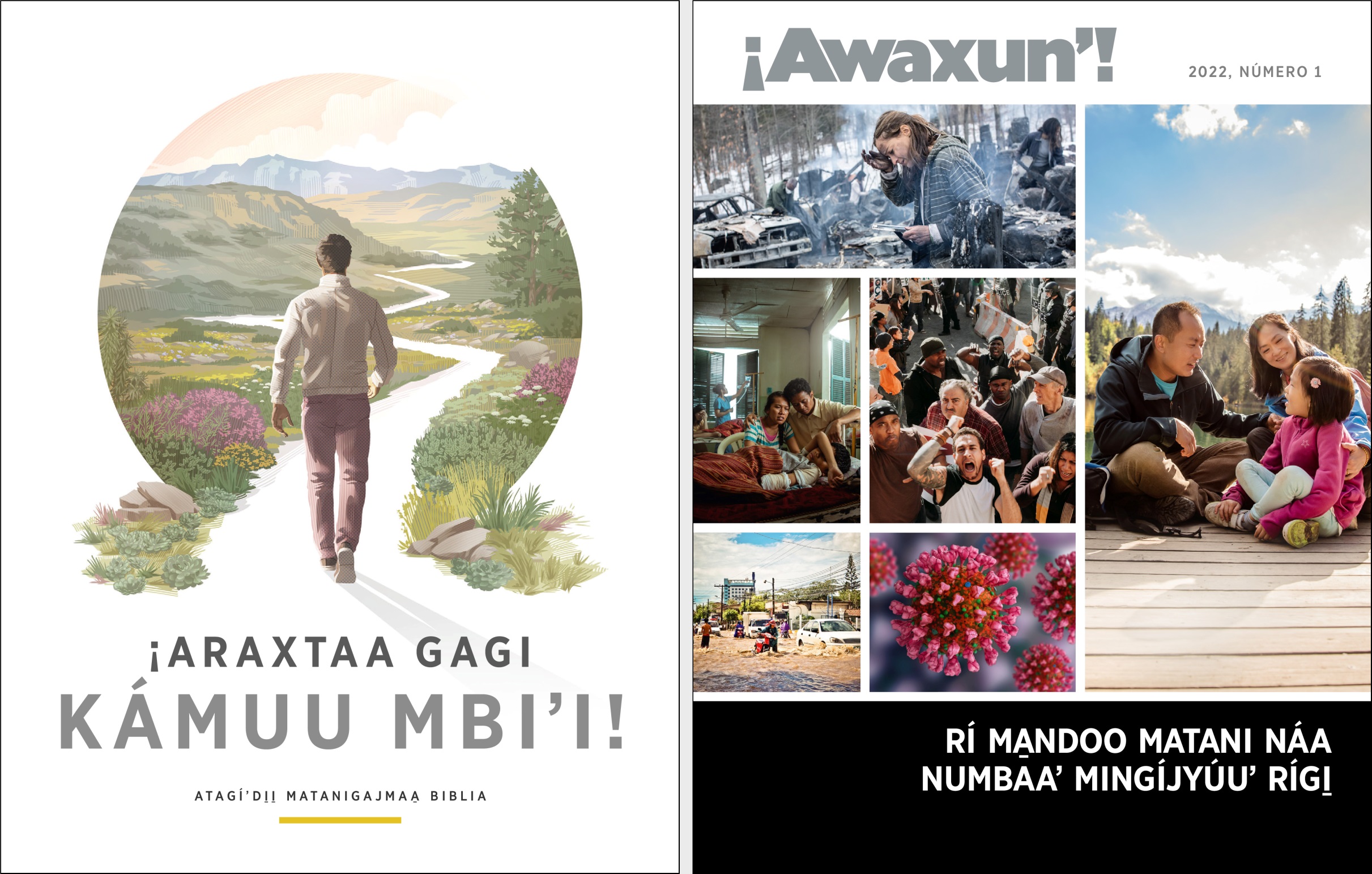 Folleto “Araxtaa gagi” ga̱jma̱a̱ revista “¡Awaxunʼ!”, número 1 tsiguʼ 2022.