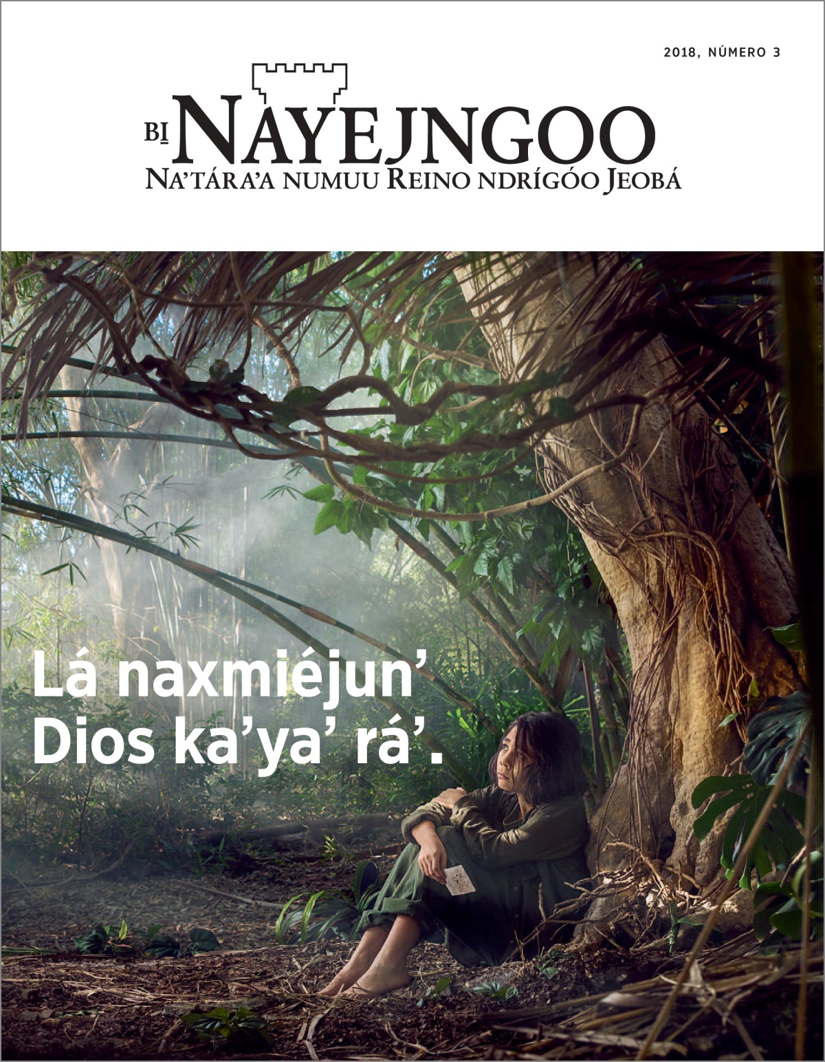 “Bi̱ Nayejngoo”, número 3 tsiguʼ 2018.
