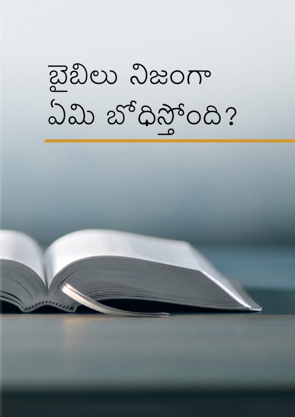 బైబిలు నిజంగా ఏమి బోధిస్తోంది?
