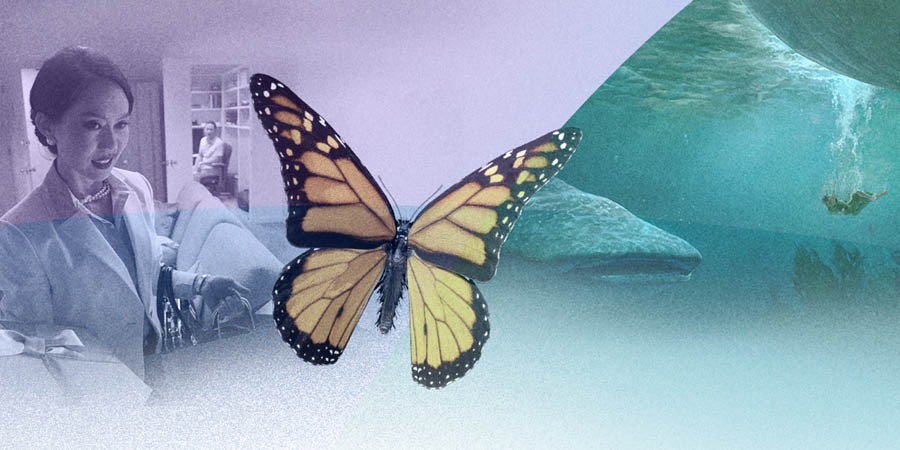 Visual highlights of the Saturday afternoon program of the 2017 convention of Jehovah’s Witnesses.