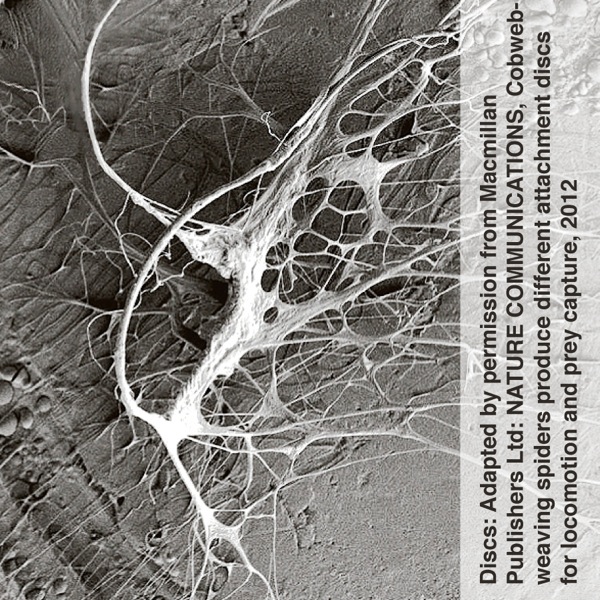 ጋምፉት ዲስክ ሳሬት