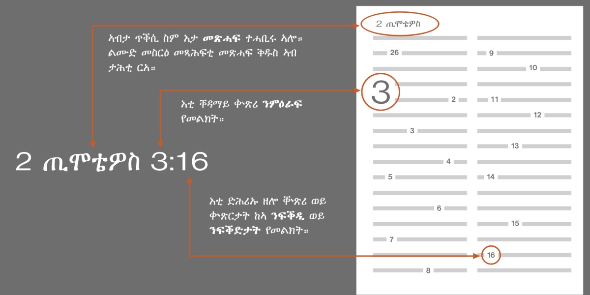 ጥቕስታት መጽሓፍ ቅዱስ ብኸመይ ከም እትረኽቦ ምእንቲ ኽትፈልጥ፡ 2 ጢሞቴዎስ 3:16 ከም ኣብነት ንውሰድ። እቲ ስም ንኽፋል መጽሓፍ ቅዱስ ይሕብር፡ ማለት መጽሓፍ 2 ጢሞቴዎስ (ኣብ ታሕቲ ተዘርዚሩ ዘሎ ልሙድ መስርዕ መጽሓፍ ቅዱስ ርአ)። ድሕሪ እቲ ስም ዘላ ቐዳመይቲ ቝጽሪ፡ ንምዕራፍ ተመልክት፡ ማለት ምዕራፍ 3። እቲ ስዒቡ ዘሎ ቍጽሪ ወይ ቍጽርታት ንፍቕዲ የመልክት፡ ማለት ፍቕዲ 16።
