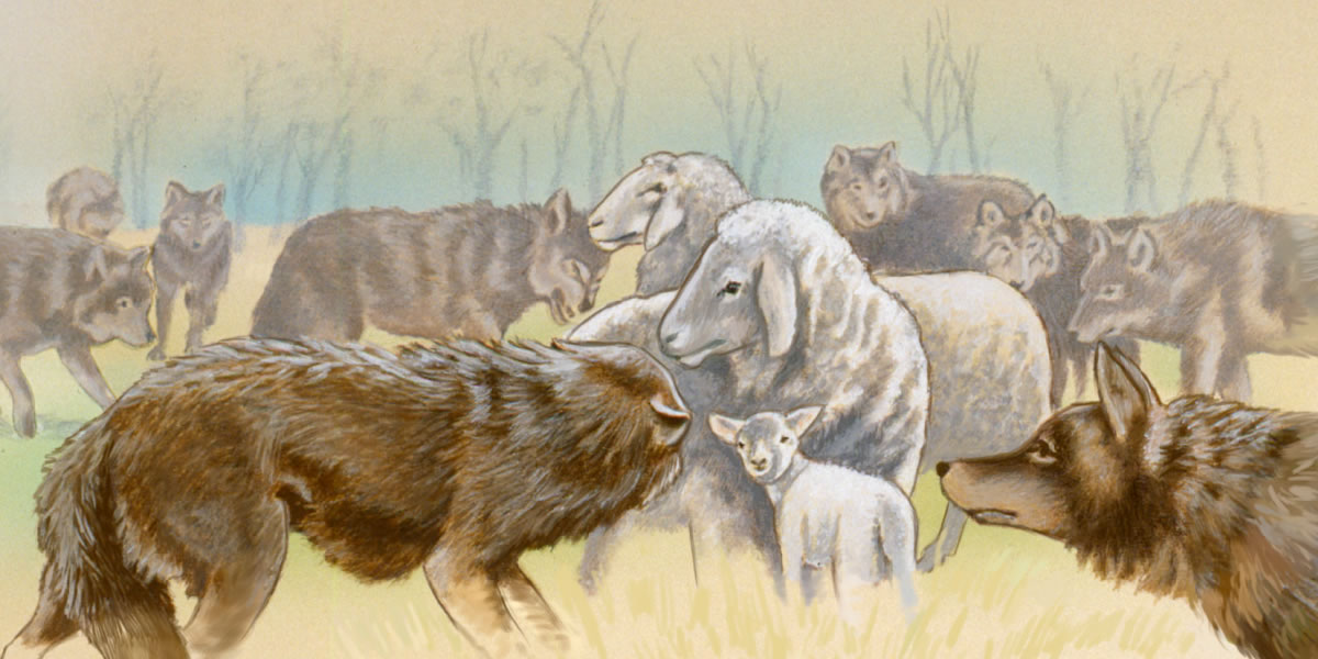 ኣባጊዕ ኣብ መንጎ ተዃሉ