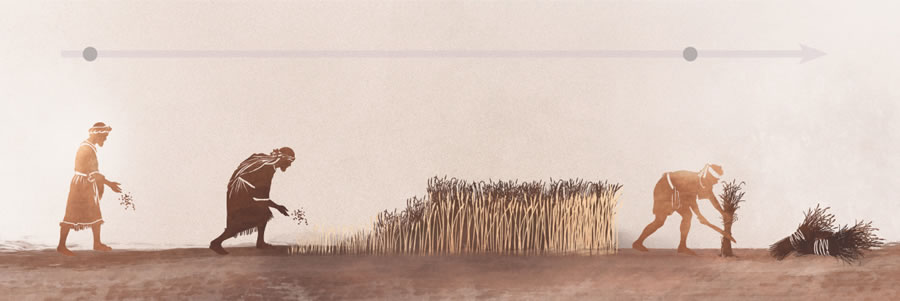 የሱስ ብዛዕባ ስርናይን ክርዳድን ዝመሰሎ ምሳሌ