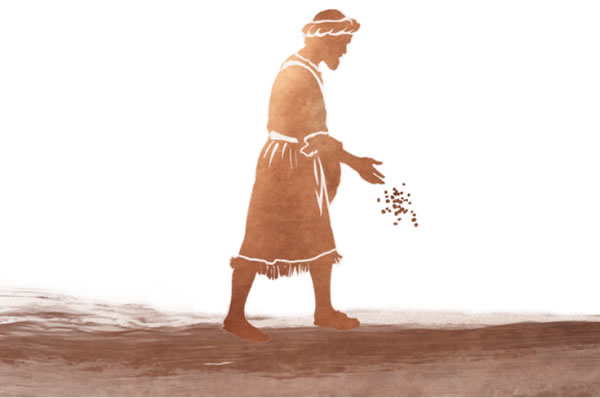 ሓደ ሰብኣይ ጽቡቕ ዘርኢ ይዘርእ