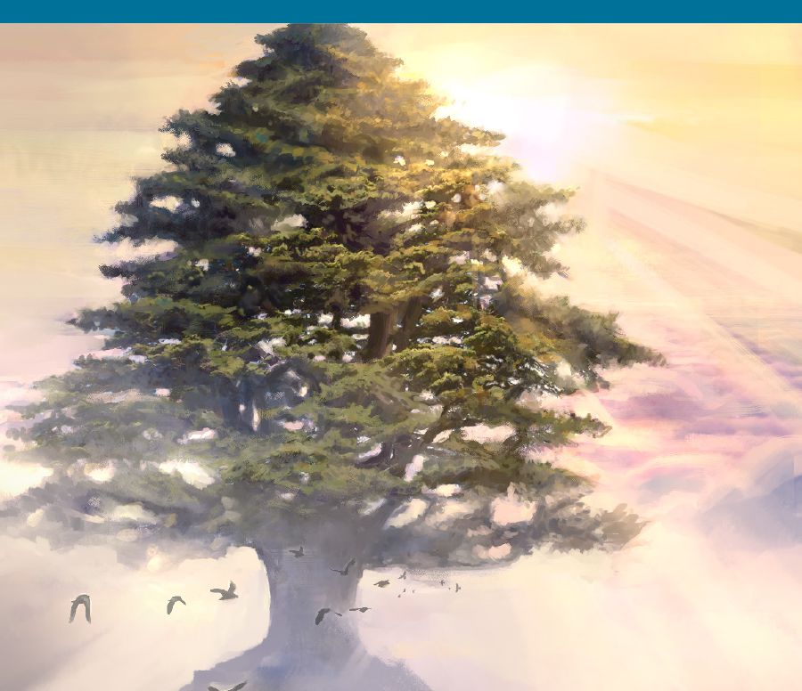 ኣብ ዙርያ ዓብዪ ኦም ቄድሮስ ዚዝምብያ ኣዕዋፍ።