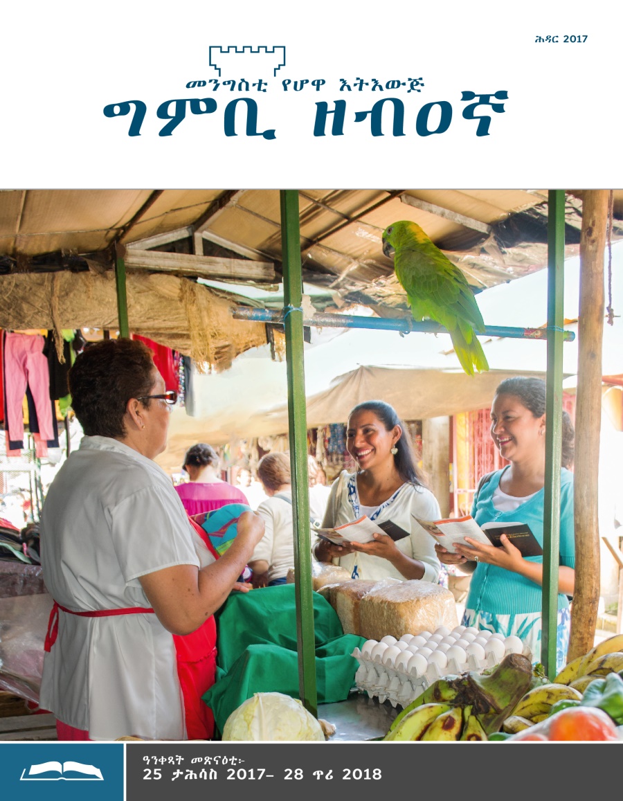 ግምቢ ዘብዐኛ ሕታም መጽናዕቲ፡ ሕዳር 2017