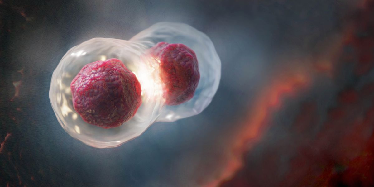 Ko ha sela ʻoku mavaeua.