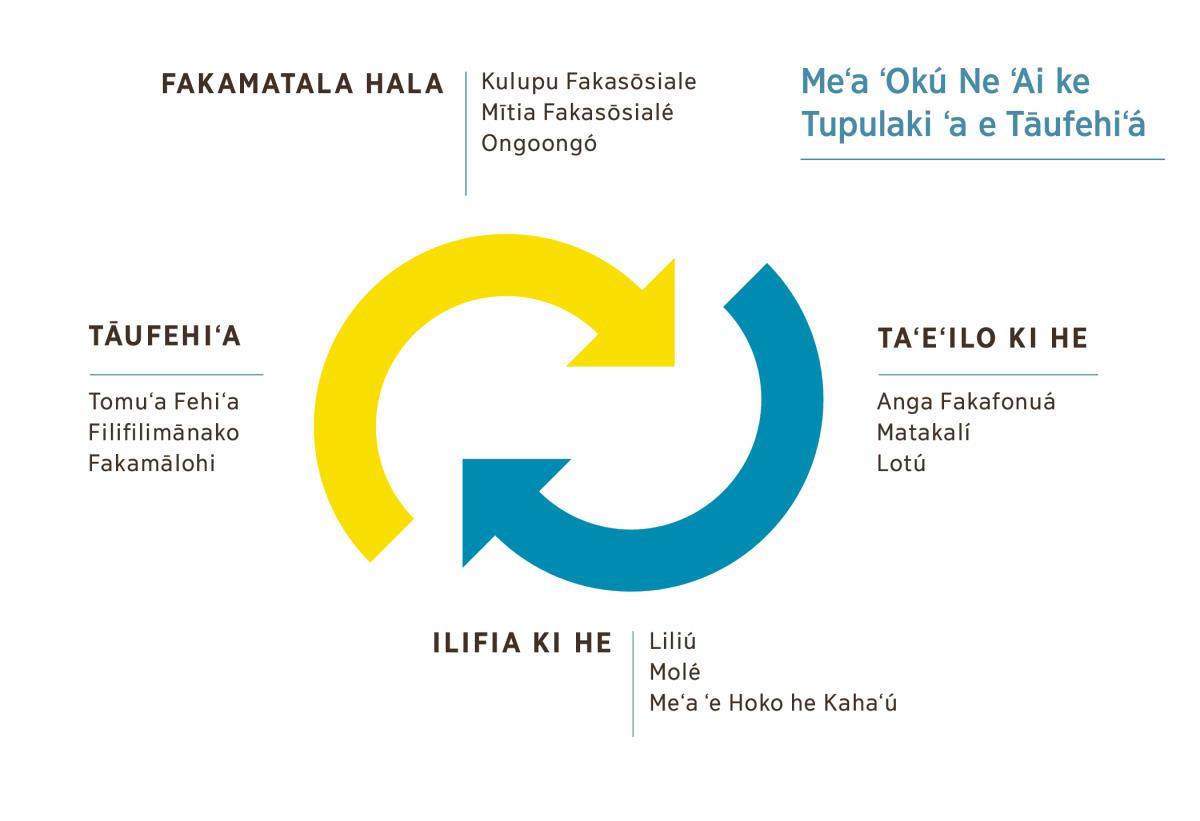 Ko ha fakatātā ʻo ha foʻi tao ʻe ua ʻokú na feviloʻaki, ʻo fakafofongaʻi ʻa e ngaahi meʻa ʻokú ne ʻai ke tupulaki ʻa e tāufehiʻá. 1. Fakamatala hala, kau ai ʻa e kulupu fakasōsiale, mītia fakasōsialé, mo e ngaahi ongoongó. 2. Taʻeʻilo ki he anga fakafonuá, matakalí pe ko e lotú. 3. Ko e ilifia ki he liliú, molé pe ko e meʻa ʻe hoko he kahaʻú. 4. Tāufehiʻa, kau ai ʻa e tomuʻa fehiʻá, filifilimānakó mo e fakamālohí.