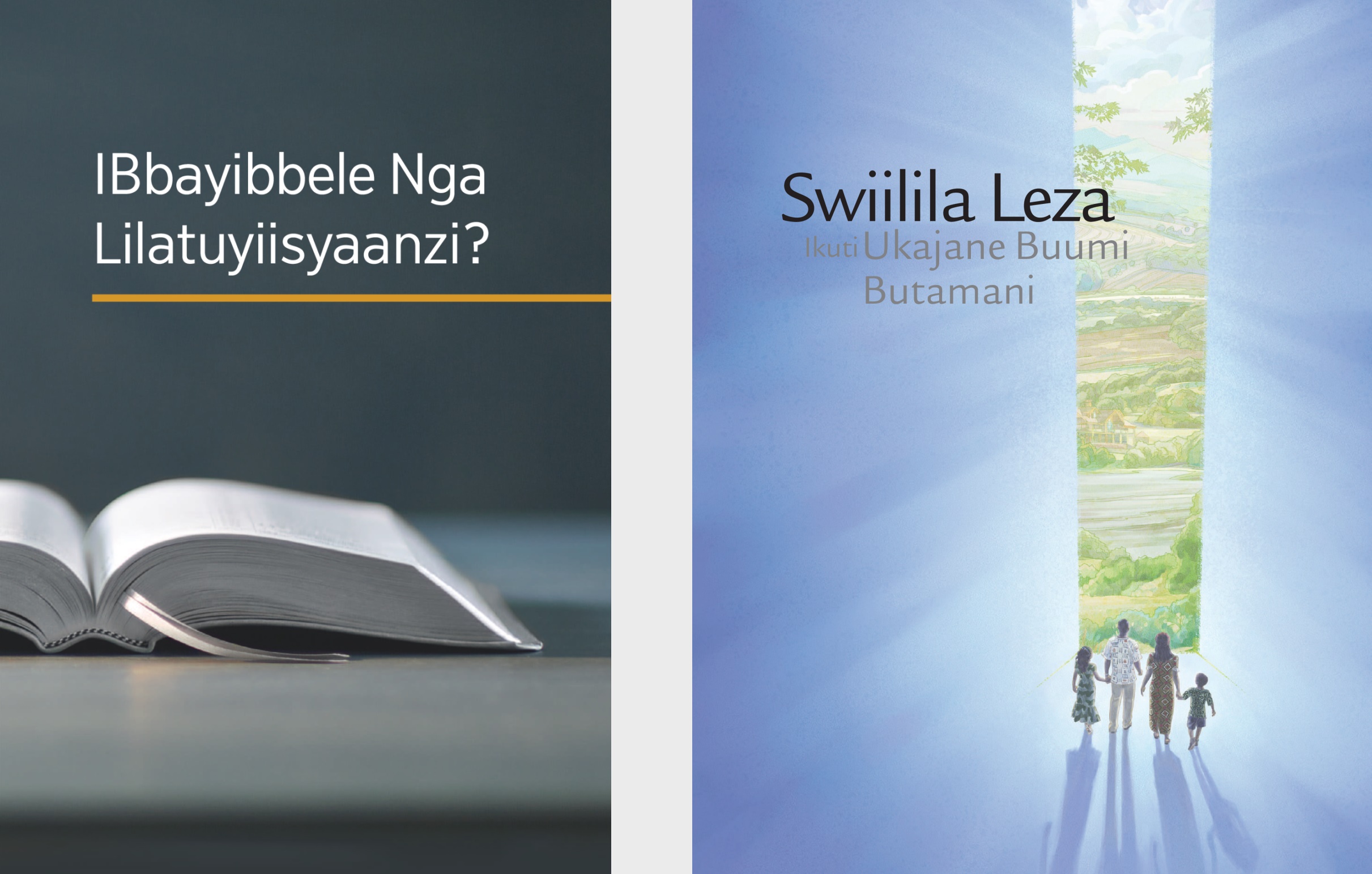 Bbuku litegwa ‘IBbayibbele Nga Lilatuyiisyaanzi?’ akabbuku katii, ‘Swiilila Leza Ikuti Ukajane Buumi Butamani.’