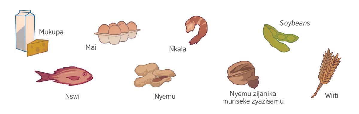 Mukupa, mai, nkala, soybeans, nswi, nyemu, nyemu iijanika munseke yazisamu, alimwi awiiti