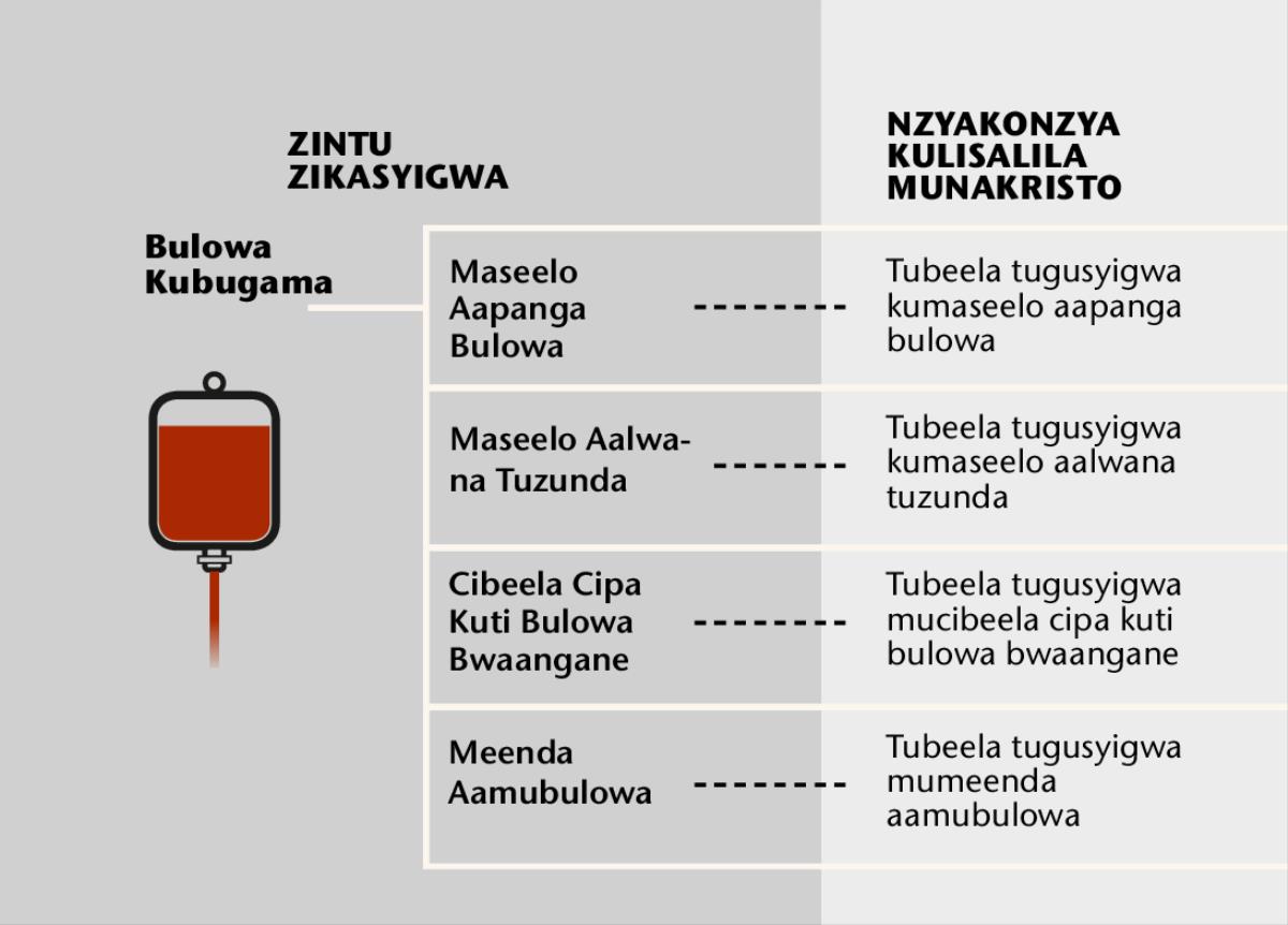 Bulowa, zibeela zyabulowa zyone alimwi atubeela twabulowa
