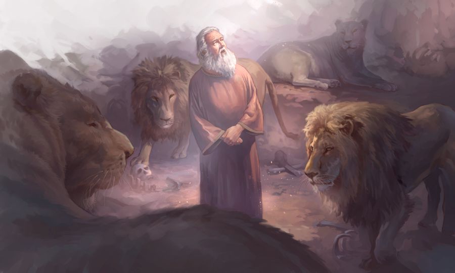 Daniel tajuma niku wilakgolh leones