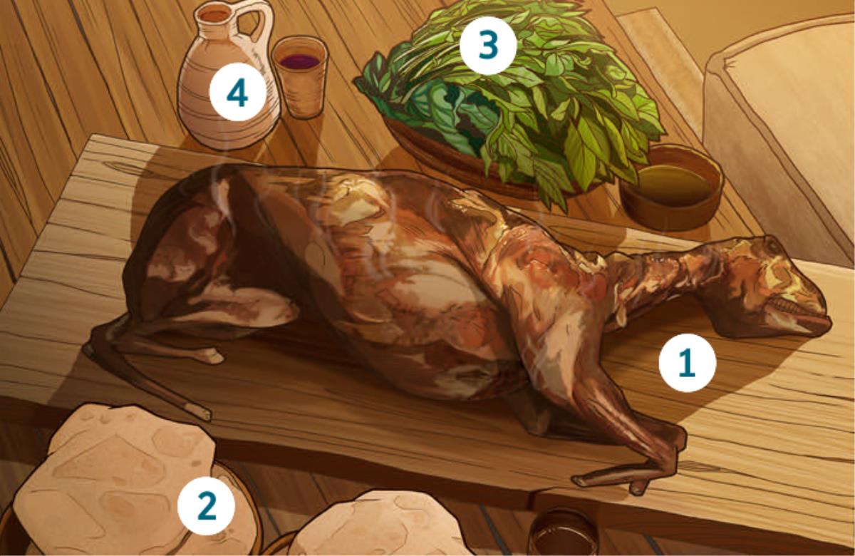Borrego xla Pascua, kaxtalanchu nema ni kgalhi limaxkutin, xaxun tuwan chu vino