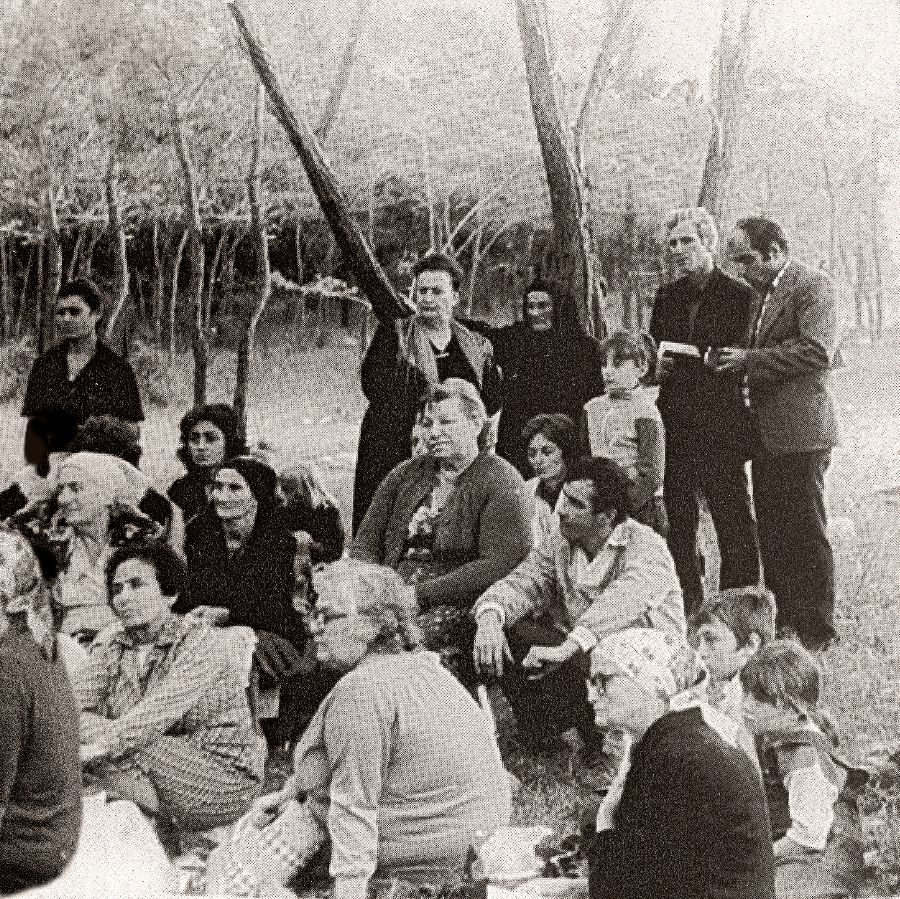 Ormanda yapılan bir toplantı
