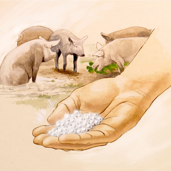 Voko leri taleke hi tiperela; tinguluve endzhaku