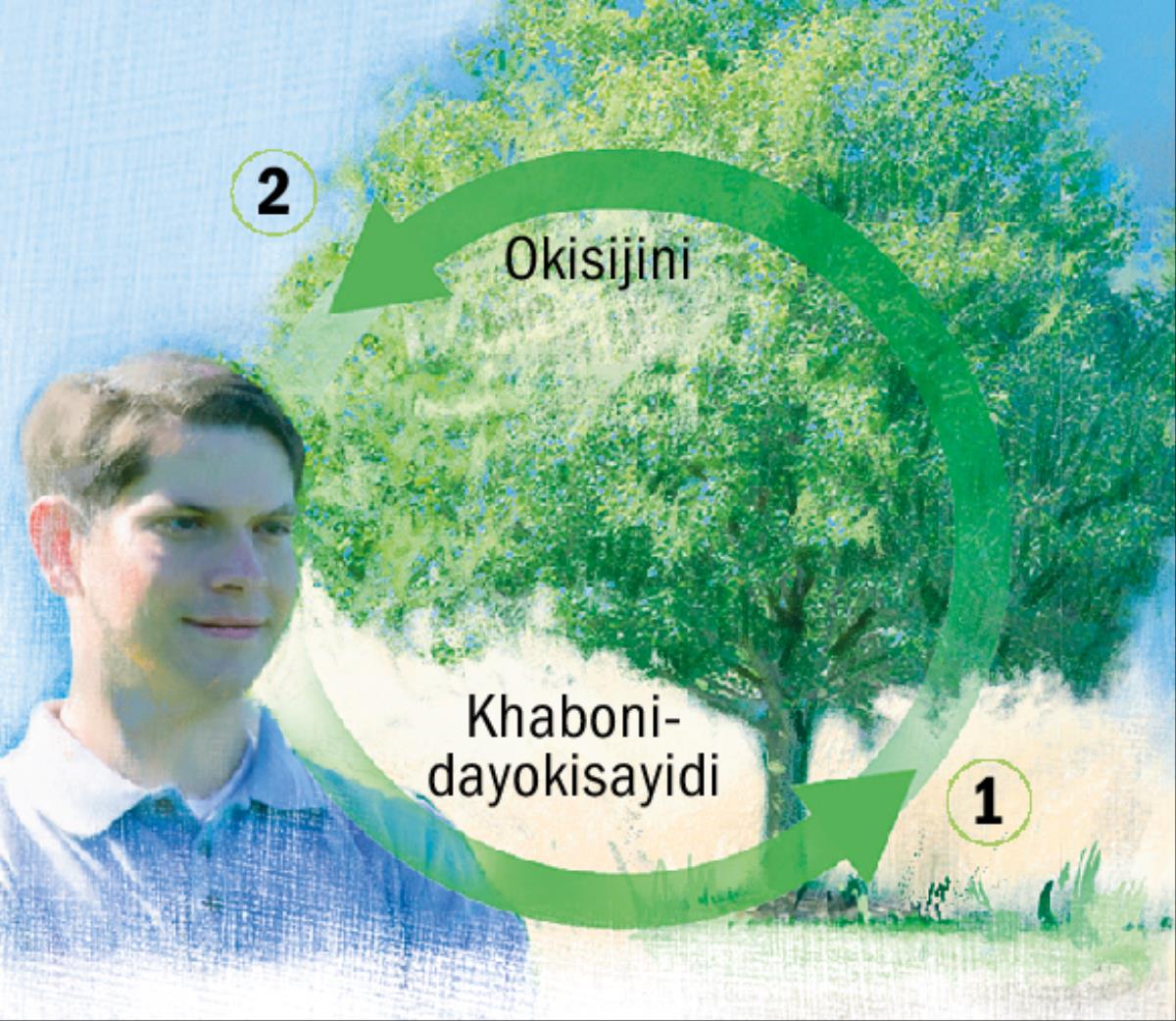 Mindzhendzheleko ya khaboni na okisijini