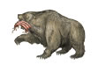 A urso gi yimela a mufumo wa Medhi-Persia