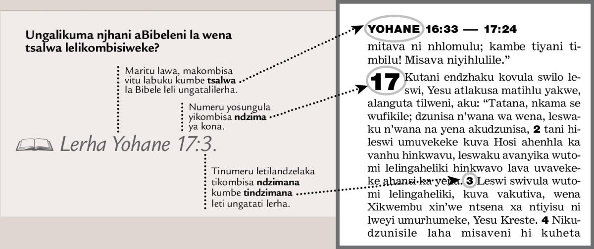 Xikombisu xa tsalwa
