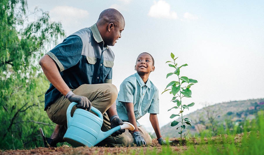 Papayi wokarhi a pfuna n’wana wa yena kuregara maplanta