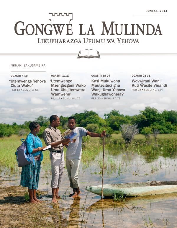 Cikopi ca Gongwe la Mulinda Lakusambira pa Mpingo, Juni 15, 2014