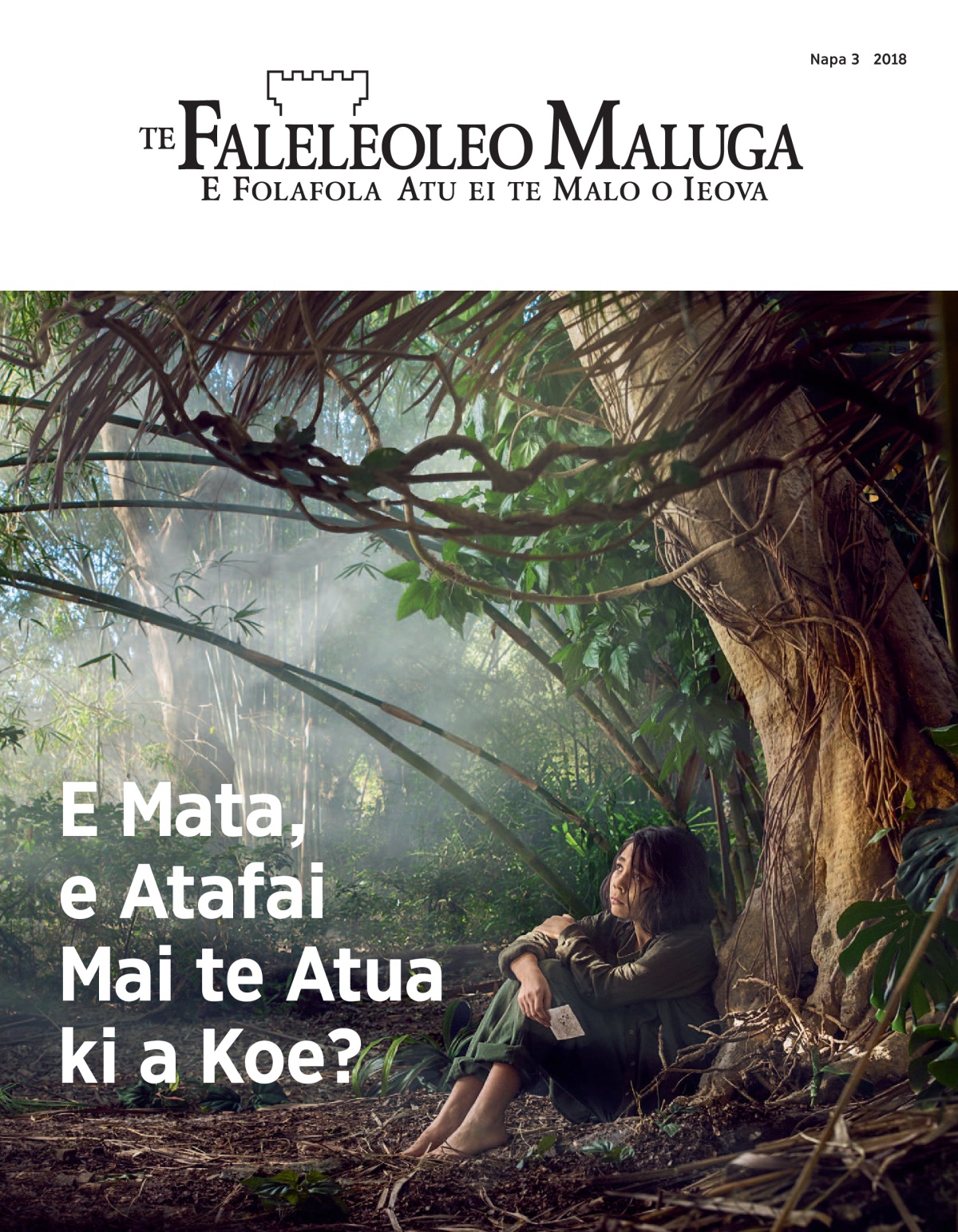 ‘Te Faleleoleo Maluga’ Napa 3 2018.