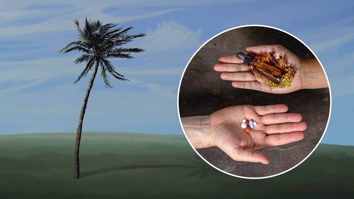 Ko te lakau mapalegofie e mapale i te taimi o te matagi malosi. E fakaasi mai i te ata foliki a tino e tokolua mo vaegā vailakau kese‵kese i lā lima mō fai lā ma‵saki—e tokotasi ne fuaga kae ko te suā tino ne vaiao.
