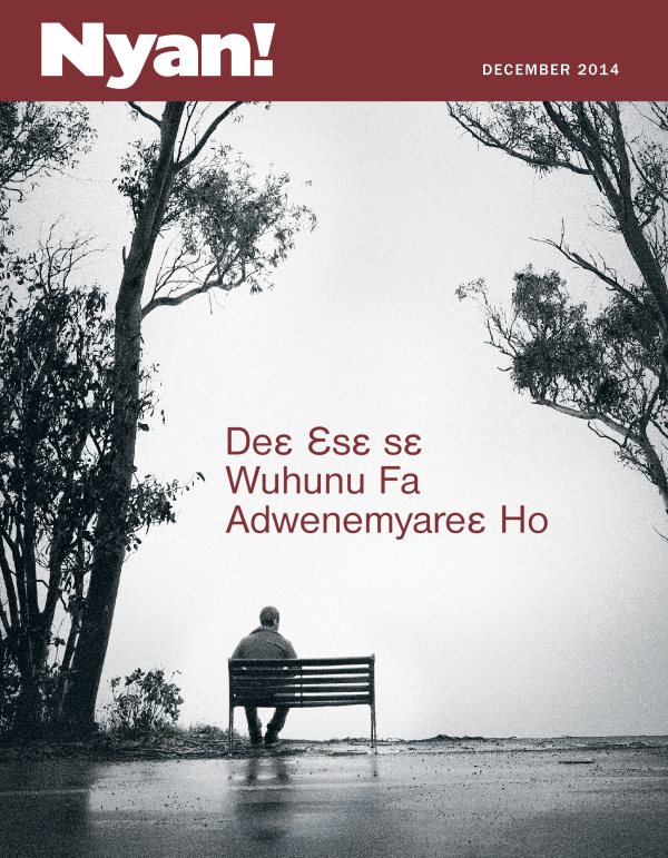 Nyan! nsɛmma nwoma akyi asɛm, December 2014 | Deɛ Ɛsɛ sɛ Wuhunu Fa Adwenemyareɛ Ho