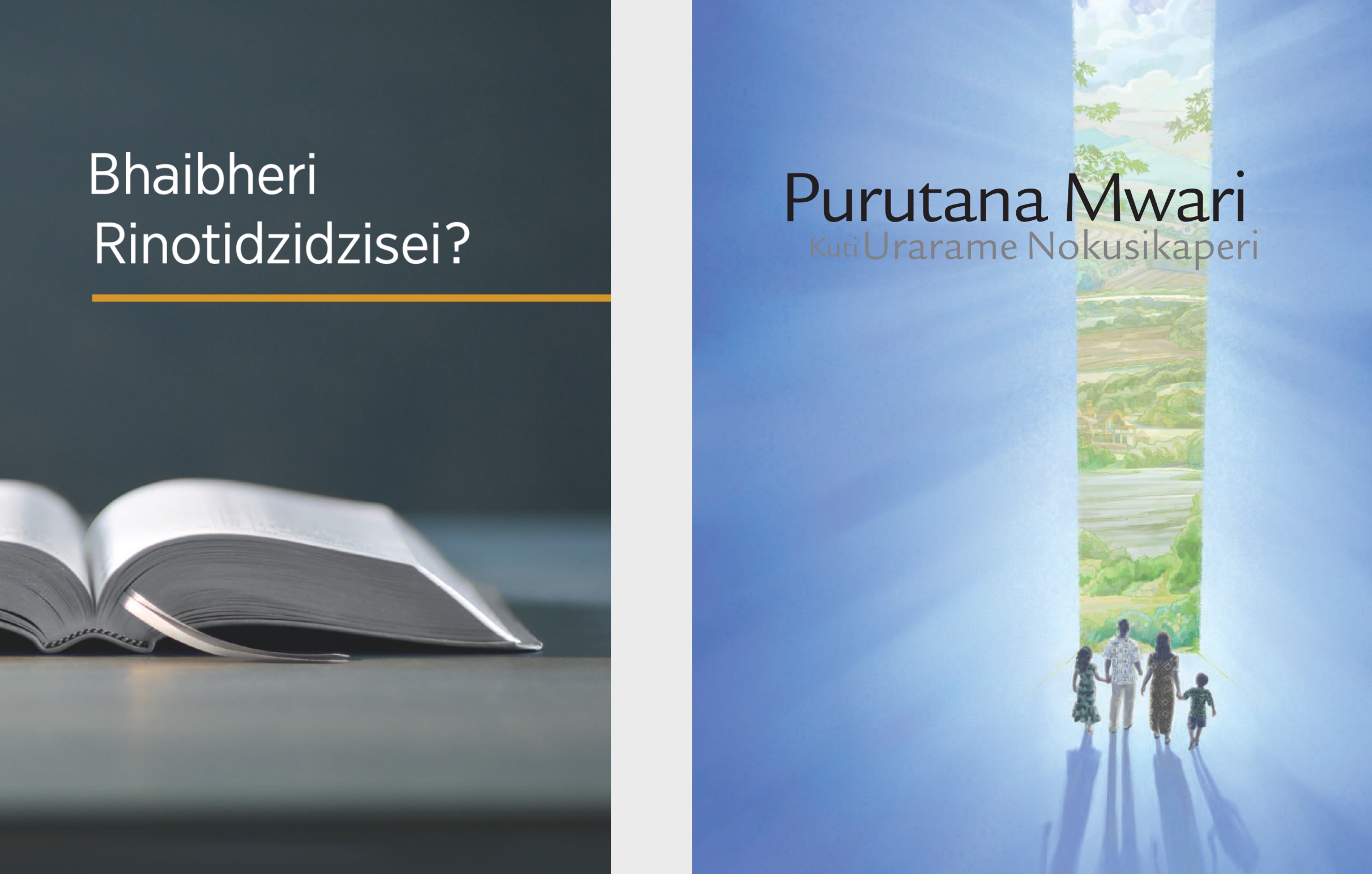 Bhuku rakazwi ‘Bhaibheri Rinotidzidzisei?’ no bhurushura rakazwi ‘Purutana Mwari kuti Urarame Nokusikaperi.’