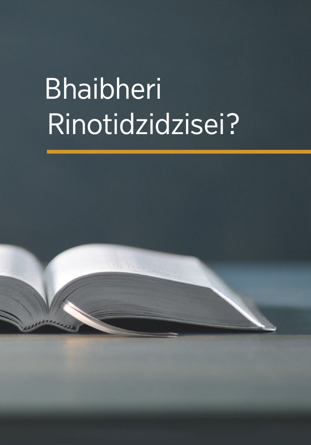 Bhuku rakazwi ‘Bhaibheri Rinotidzidzisei?’