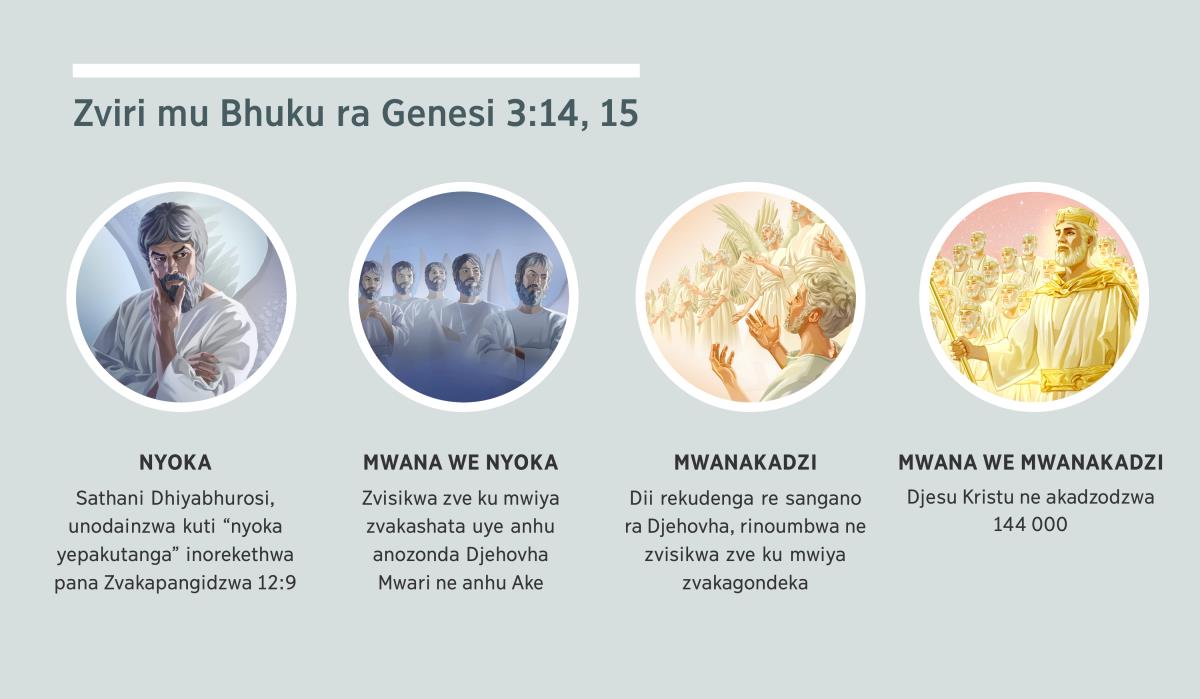 Collage: “Zviri mu bhuku ra Genesi 3:14, 15.” 1. Nyoka: Sathani, unozwi cisikwa ce kumwiya. 2. Mwana we nyoka: zvisikwa zve kumwiya zvakashata. 3. Mwanakadzi: zvisikwa zve kumwiya zvakagondeka. 4. Mwana we mwanakaadzi: Djesu Kristu uye no akadzodzwa aacatonga nawo ari mu kukudzwa kawo kudenga. Izvi zvinophindwazve mu mandima 4, 5, 7, uye 8.