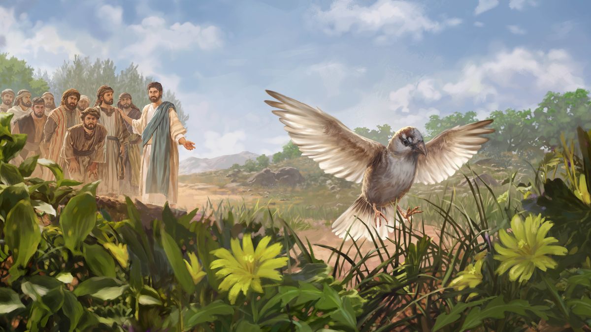 Yesu anamnyooshea mkono shore ambaye anatua chini. Wanafunzi wake wanamsikiliza kwa makini.