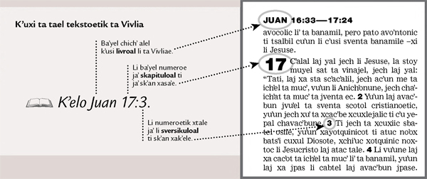 Jech xvinaj jun teksto ta Vivlia kʼuchaʼal liʼe