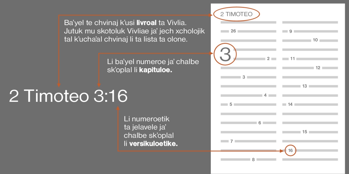 Kʼuxi ta tael tekstoetik ta Vivlia, jaʼ chichʼ saʼel 2 Timoteo 3:16. Li ta sitae chalbot akʼo xasaʼ 2 Timoteo (kʼelo li lista ta olon sventa xakʼel kʼu yelan cholbil li livroetik ta Vivliae). Li baʼyel numeroe jaʼ chalbot kʼusi kapituloal, jech kʼuchaʼal liʼe kapitulo 3. Li numeroetik xvinaj ta jelavele jaʼ li versikuloetik chichʼ chanele, jech kʼuchaʼal li versikulo 16.