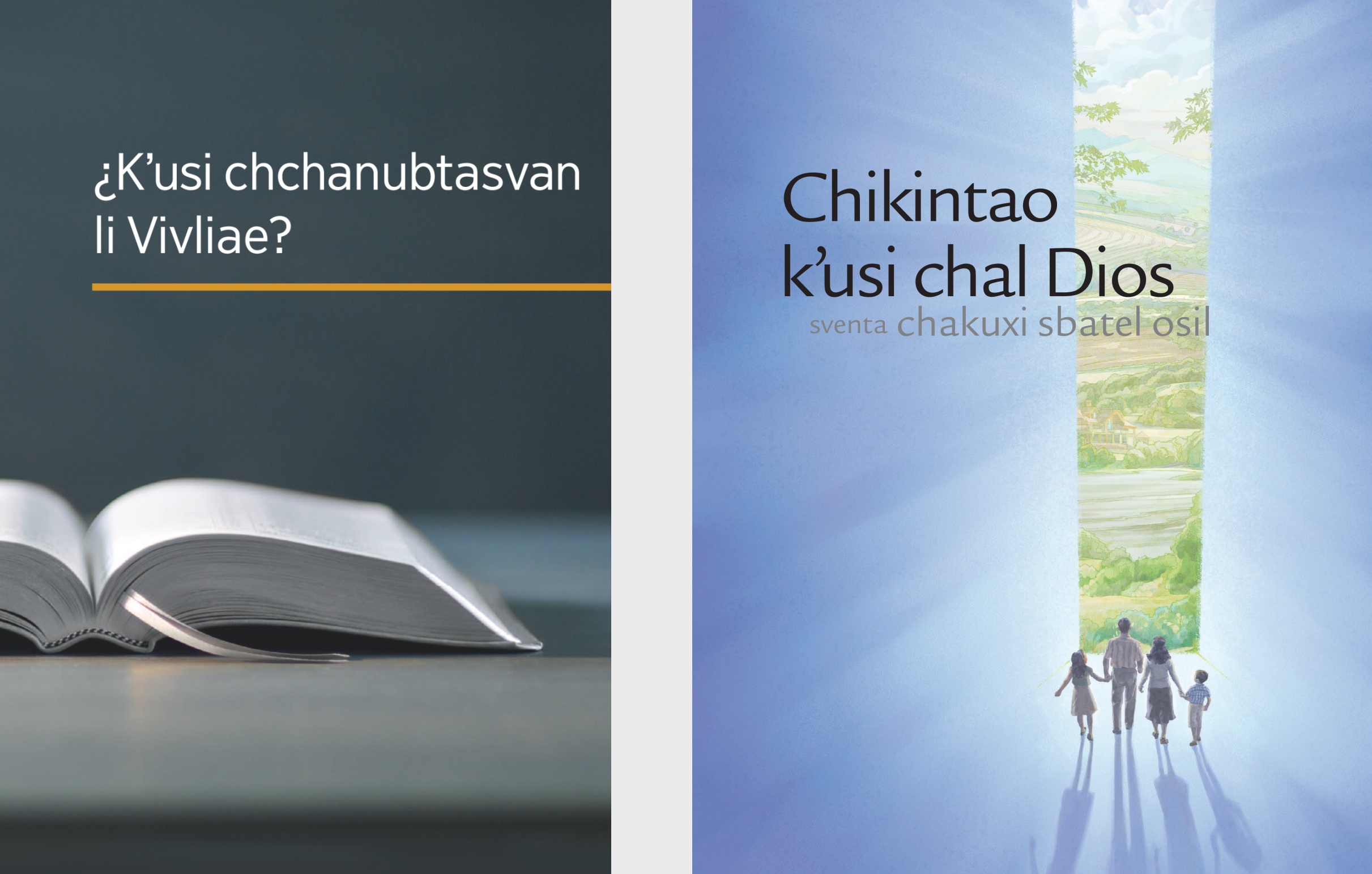 Li livro ¿Kʼusi chchanubtasvan li Vivliae? xchiʼuk li foyeto Lekil ayʼejetik yakʼoj Dios