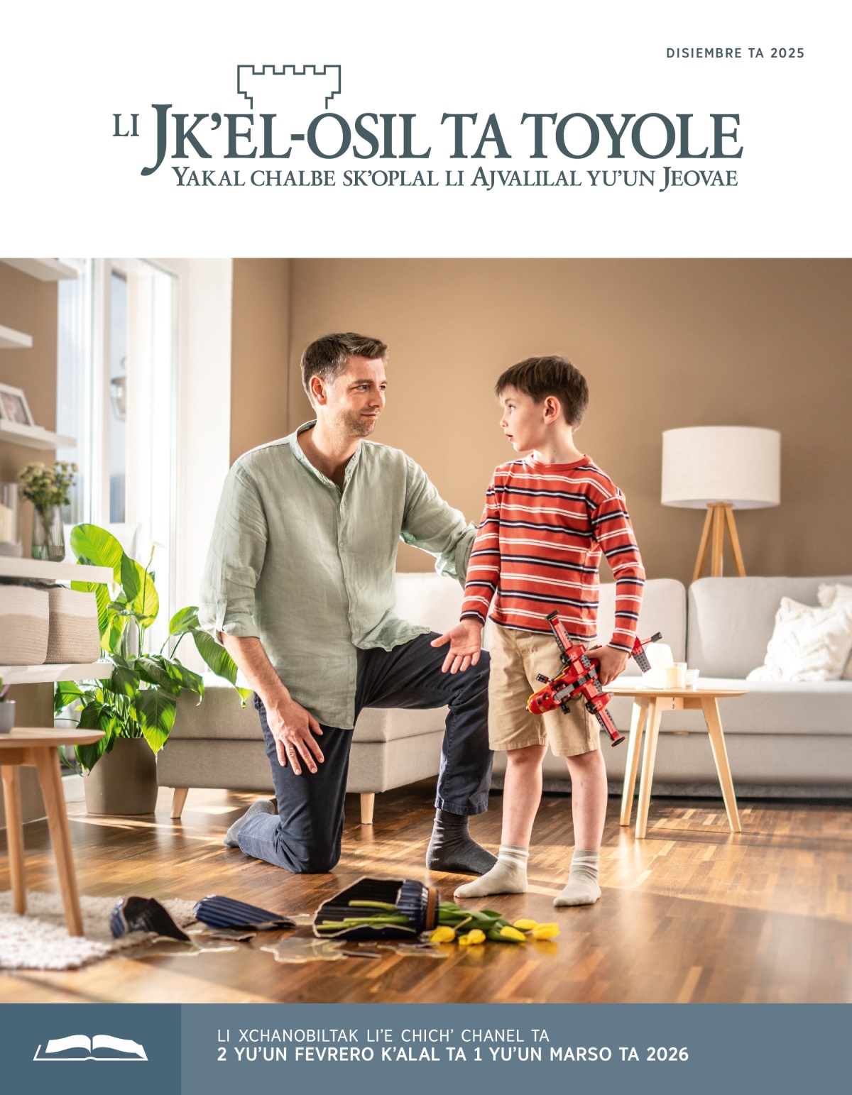 Li jun totile yakal chchikintabe skerem kʼalal chal ti mu yolbajuk la svokʼ li yavil nichim kʼalal jaʼo chtajin ta s-avione.