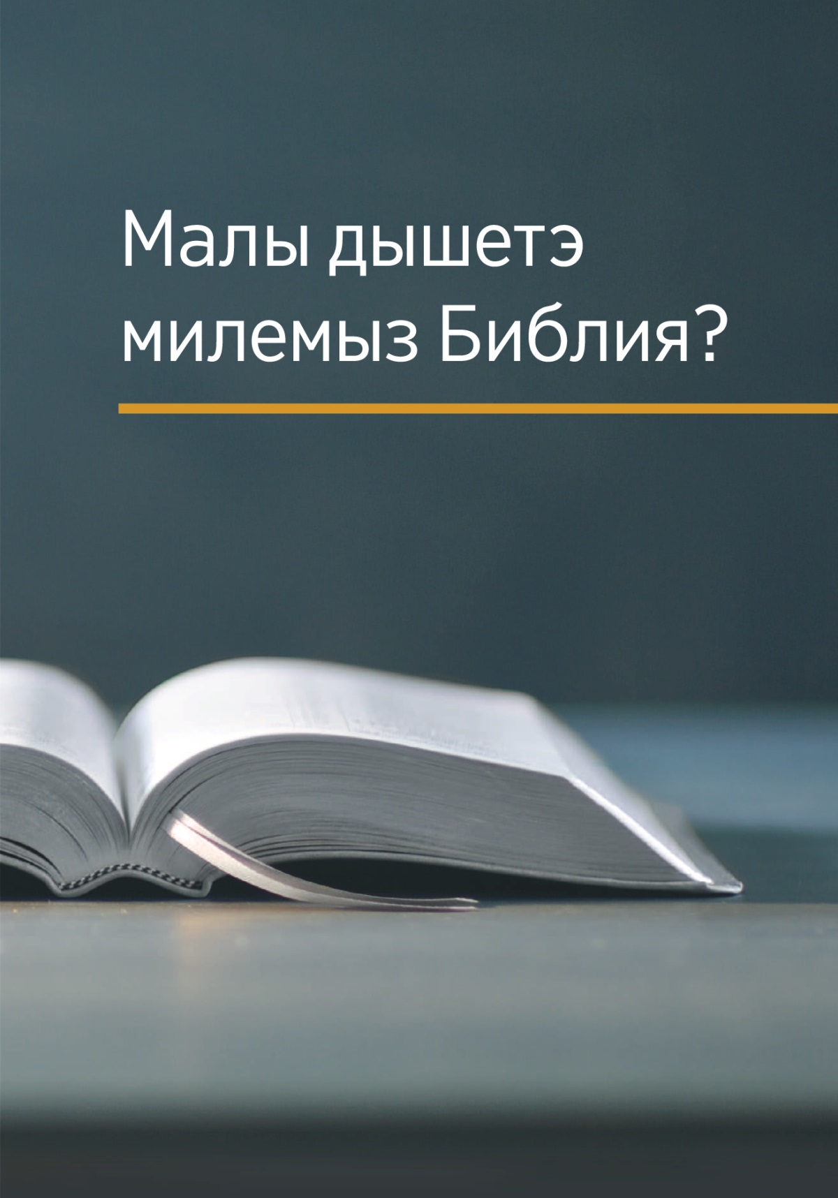 «Малы дышетэ милемыз Библия?» книга.