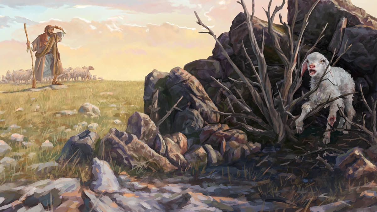 Падиниң қешида турған падичи, адишип қалған қозисини издәватиду. Падичи көзигә көрүнмәйдиған йәрдә қозиниң пути яриланған қоза ташлар арисидики чатқалға чирмишип қалған еди.