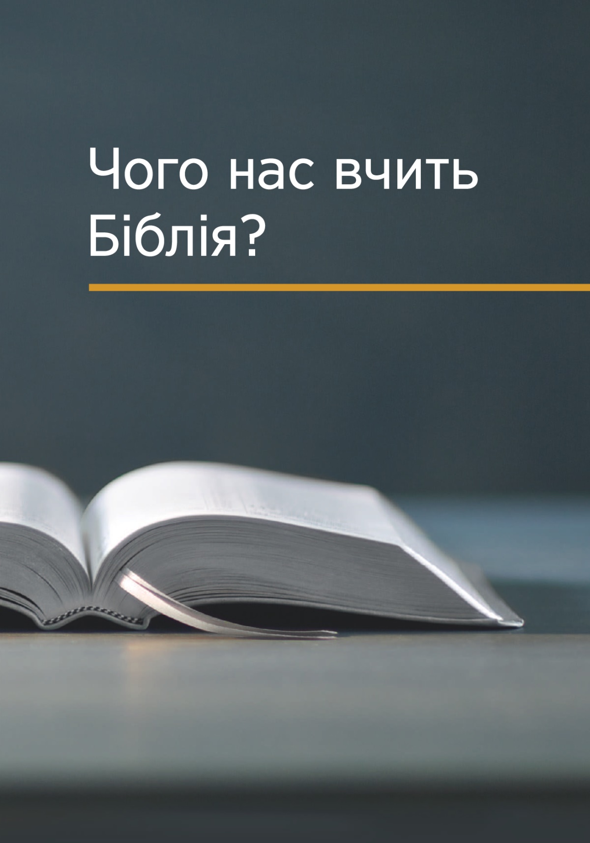 Книжка «Чого нас вчить Біблія?»