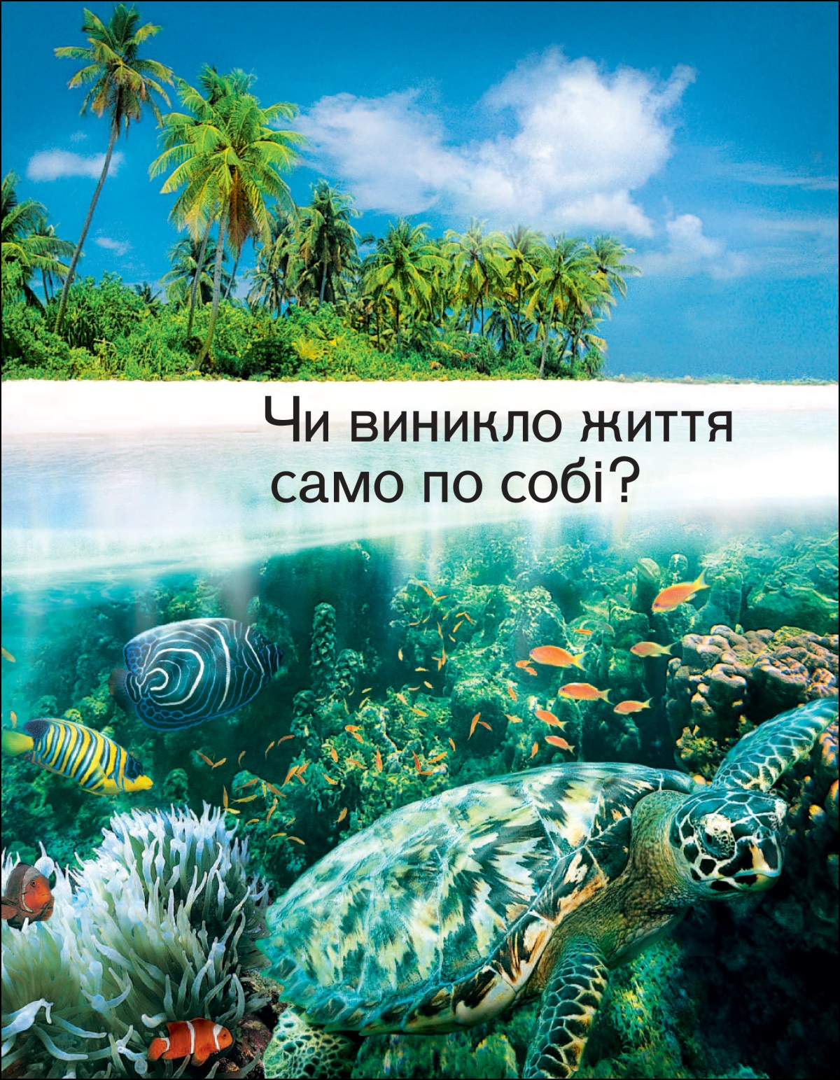Брошура «Чи виникло життя само по собі?»