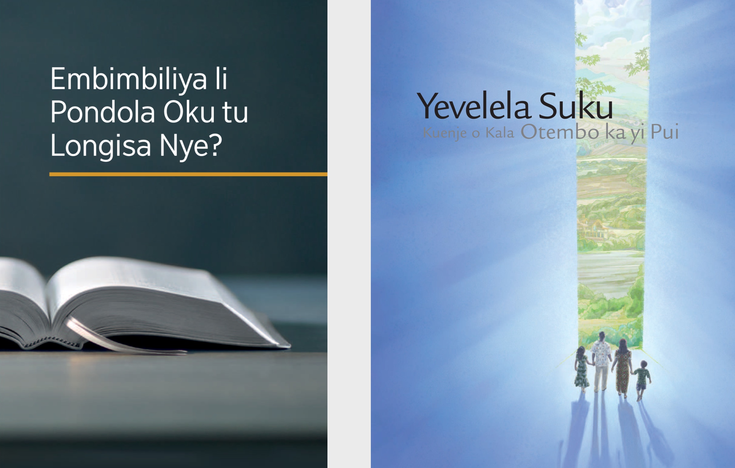 The book ‘What Can the Bible Teach Us?’ and the brochure ‘Listen to God and Live Forever.’